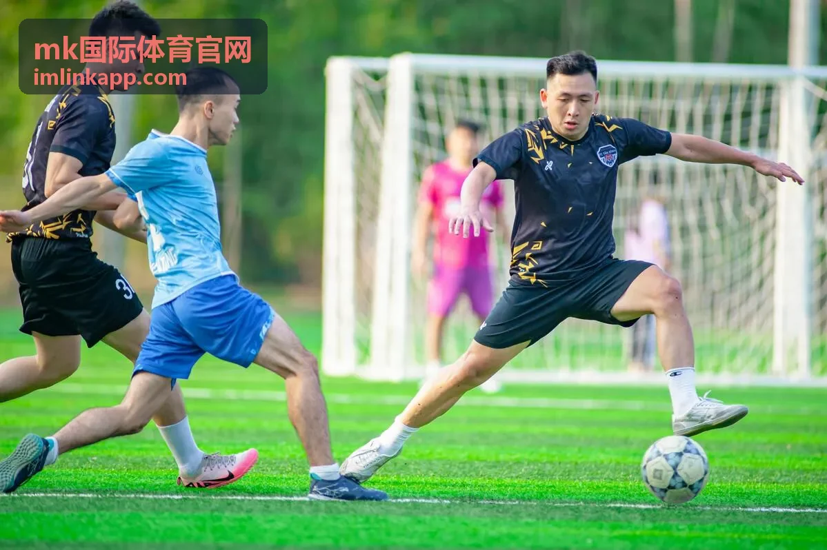 mk国际体育官网数据统计与解读专题封面图